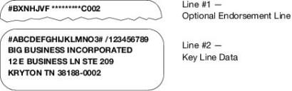 If present, Optional Endorsement line must appear on Line 1 and Key Line data must appear on line 2. If present, Optional Endorsement line must appear on Line 1 and Key Line data must appear on line 2.